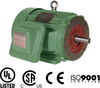 Explosion Proof Motors-C-Face -- IXPEWWE10-18-215TC - Image