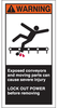 Cema Safety Label -- 96177