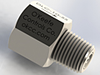Check Valves, Ball Type - NPT Connection; NPT Nipple, NPT Adapter -- DLC-0-SS - Image