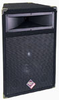 ProPower Series PA Speaker - PTS1015 - Visual Sound, Inc.