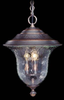 8331SBR Exterior -Hanging - 796872 - Capital Lighting, Inc.