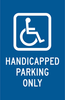 Handicapped Sign - 80110 - Brady Corporation