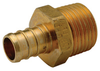 XL Brass Male Adapter - QQMC66GX - Zurn Industries LLC