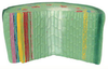 Stem Model - Dicotyledon - B10303 - Parco Scientific Company