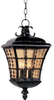 Exterior -Hanging - 6321 - Light Center (The)