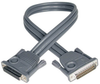 Daisychain Cable for NetDirector KVM Switch B020-Series and KVM B022-Series, 6-ft. -- P772-006 - Image