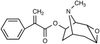Aposcopolamine - 6904 - Medical Isotopes, Inc.