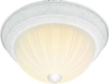 Flush Mounts-Bowl Style - 281289 - Light Center (The)