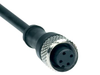 Pre-wired cable - M12 - 4-pole - A-K4P-M12-S-G-5M-BK-2-X-A-4-69 -  - Schmersal Inc.
