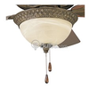 Savannah Collection Ceiling Fan Light Kit - P2617-86 - bulbs.com