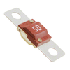 Circuit Protection - Fuses -- AMI-125