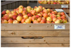 RFID Labels & Tags - Traceability - MPI Label Systems