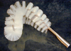 Outside of Pipe Brush -- 3890