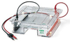 Sub-Cell Model 96 Cell - 170-4500 - Bio-Rad Laboratories, Inc.