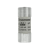 Fuses -- 2041-C22G25S-ND