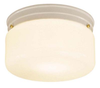 Flush Mounts-Bowl Style - 21849 - Light Center (The)