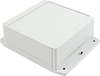 Small Enclosure, Flanged Lid, Abs, Grey Rohs Compliant Hammond - 39AH1147 - Newark, An Avnet Company