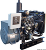 Isuzu 14,000 Watt Diesel Generator