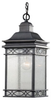 Pendant Light Fixture - OL8011FOG - Generation Brands