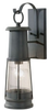 Outdoor Wall Light - OL8101STC - Generation Brands