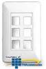 Legrand - On-Q 6 Port AnyPort&reg; Designer Wall Plate (25.. - 364304-01 - TelephoneStuff.com