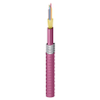 Indoor Riser OM4 Distribution 12 Fibers Aluminum Interlocked - FI4D012F9 - Belden Inc.