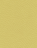 Spring Shower Fabric - 9909/06 - Pollack