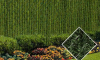 Fence Privacy - American Permahedge -  - Pexco