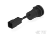 Push Button Switches - K1164300 - TE Connectivity