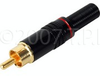 Gold RCA Male Solder Type Red - GP-PRD - Visual Sound, Inc.