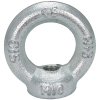 Eye Nut -- WEB-15