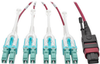 MTP/MPO to 8xLC Fan-Out Patch Cable, 40 GbE, 40GBASE-SR4, OM4 Plenum-Rated, Push/Pull Tab, Magenta, 2 m (6.6 ft.) -- N845-02M-8L-MG