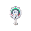 Flush pressure sensor with display -- PG1743 - Image
