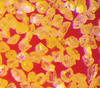 Micron Diamond Powders -- Metal Bond Standard Grade Diamond Powder
