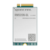 RF Transceiver Modules and Modems - 2958-RM520NGLAP-M20-SGASATR-ND - DigiKey