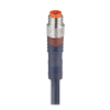 M8 Standard Sensor/Actuator Single-Ended Cordset: Male, - RSMV 5-293 - Belden Inc.