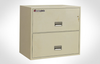 Letter Lateral 2-Drawer Fire File 30