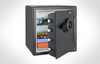 Combination FIRE-SAFE&reg; -- SF123CS - Image
