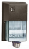 Outdoor Wall Light - WPTF28MS - RAB Lighting