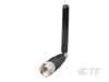Antennas - ANT-W63-MON-SMA - TE Connectivity