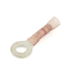 Crimp, Solder & Seal Heat Shrink Terminal, 22-18 Ga., #1/4