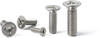Triwing Flat Head Machine Screws -- SRWFS-M2-5 - Image