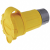 Plug/Receptacle - Radwell International