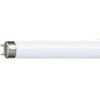 Fluorescent Tubes -- 7923622 - Image