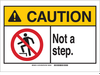 ANSI sign - 144726 - Brady Corporation