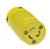AC Power Plugs & Receptacles - 1301410054 - VAST STOCK CO., LIMITED