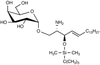 α-Galactosyl-3-(t-butyldimethylsilyl) erythro-Sphingo.. -- G184875 - Image