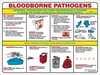 Brady Prinzing Paper Rectangle White Bloodborne Pathogens Health Sign - 24 in Width x 18 in Height - Laminated - PS125E - 754476-45849 - R. S. Hughes Company, Inc.