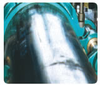 PRCI Thermal Analysis Model for Hot-Tap Welding