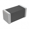 Ferrite Beads and Chips - MPZ1005S121CTD25 - MPZ1005S121CTD25 - Win Source Electronics
